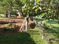20140916 LE BOSQUET FENCING & POND WORKS 29